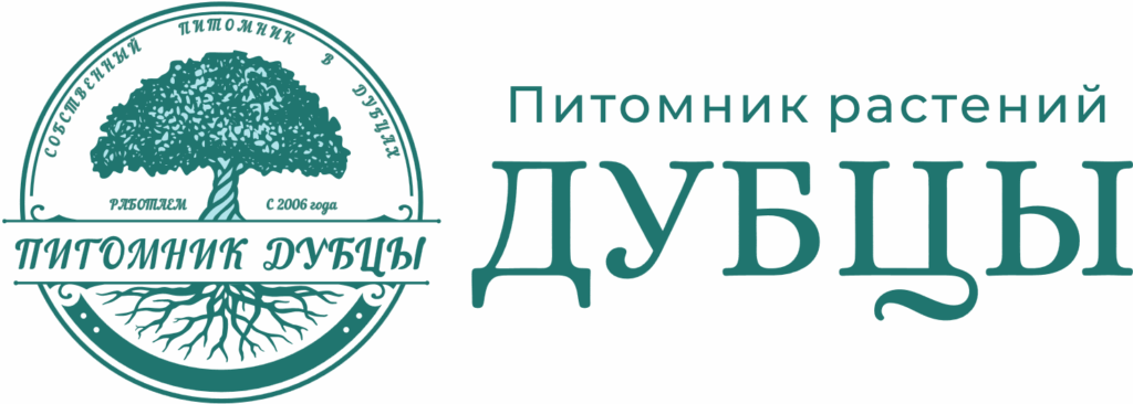 Группа компаний Сарыбай