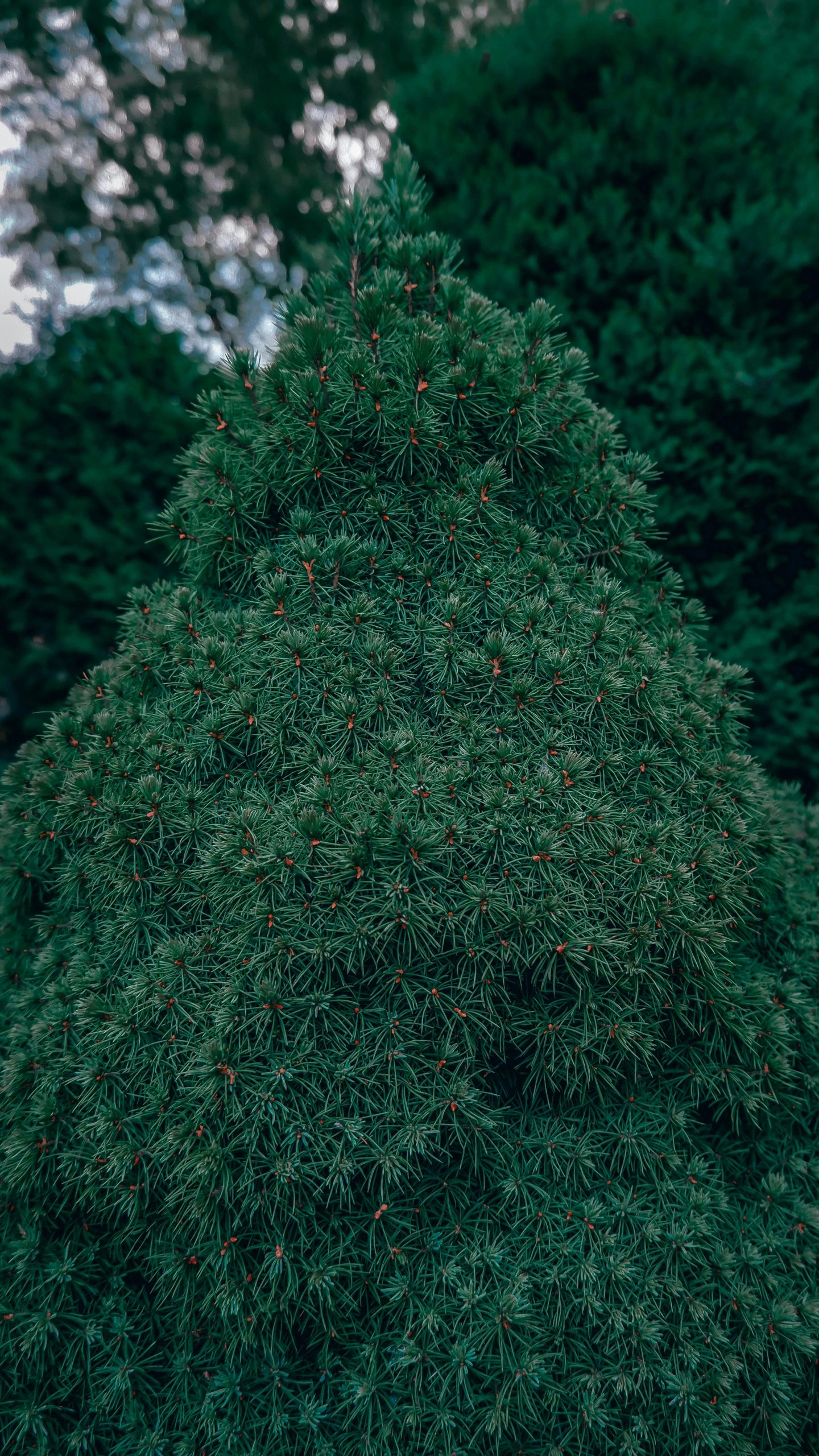 russell-foto-pVFVaYuqKss-unsplash Новость агросектора